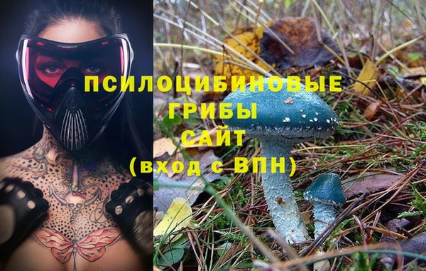 соль курить ск Горняк