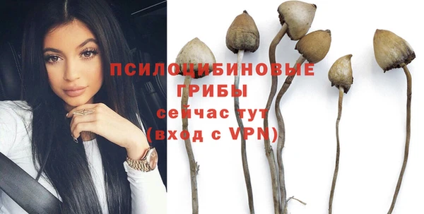 соль курить ск Горняк