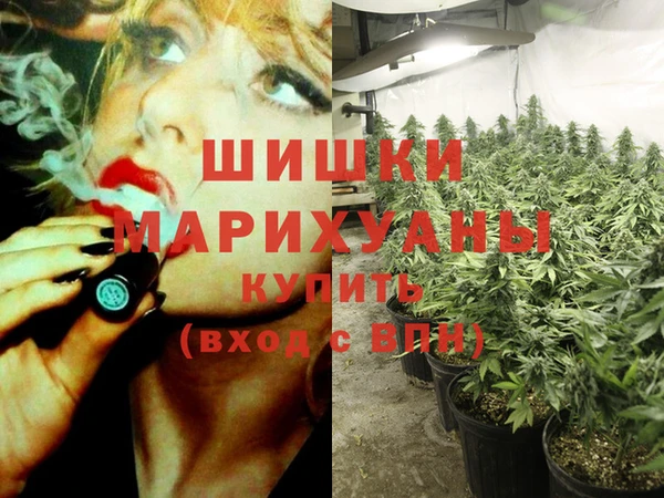 сатива Горнозаводск