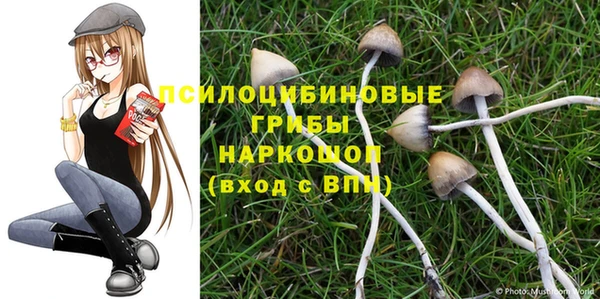 мдпв Горно-Алтайск