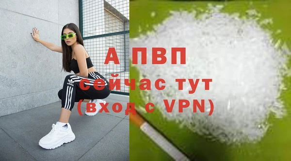 сатива Горнозаводск