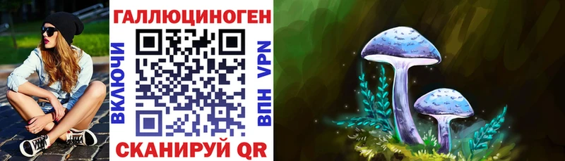 Галлюциногенные грибы MAGIC MUSHROOMS  Купить закладки  Нефтегорск 